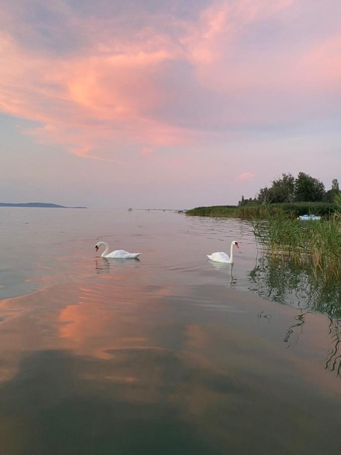 Bella Garden Villa Balatonszarszo Bagian luar foto